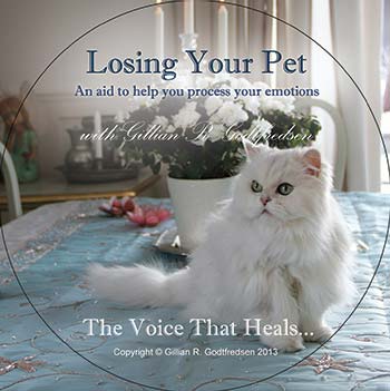 Losing your pet 